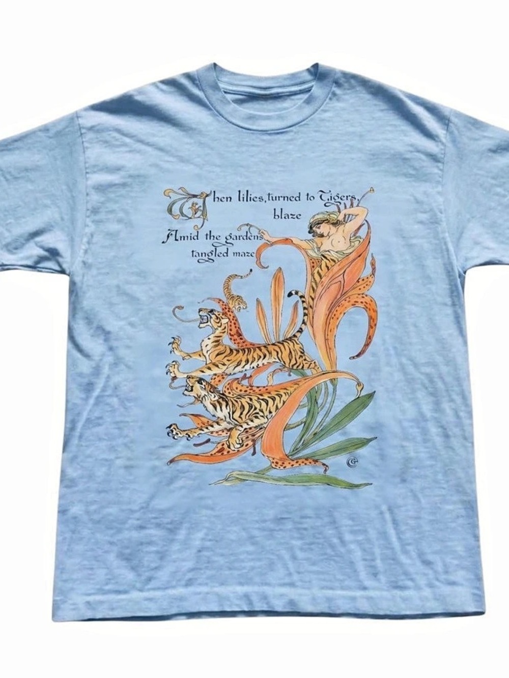 Graphic Short Sleeve T-Shirt in Blue Like New